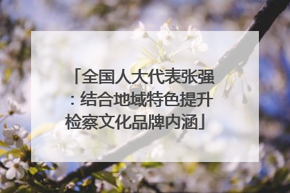 全国人大代表张强：结合地域特色提升检察文化品牌内涵
